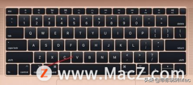 苹果电脑的alt键是哪个，教你找到Mac电脑alt键